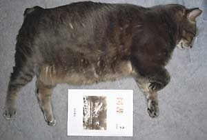 moyan_sleep.jpg